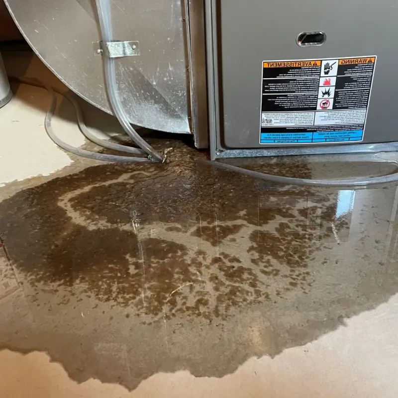 Pipe Burst and Leak Restoration in American Fork, UT